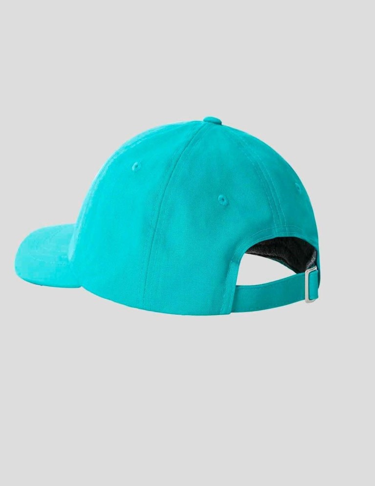 Gorra THE NORTH FACE norm hat porcelain green
